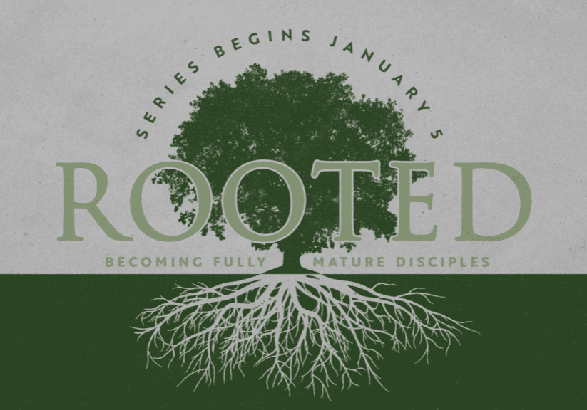 Rooted Series Begins. Be Rooted in the Word